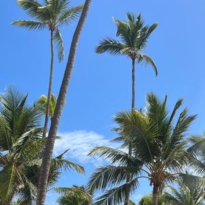 Meet your Posher, Tinley